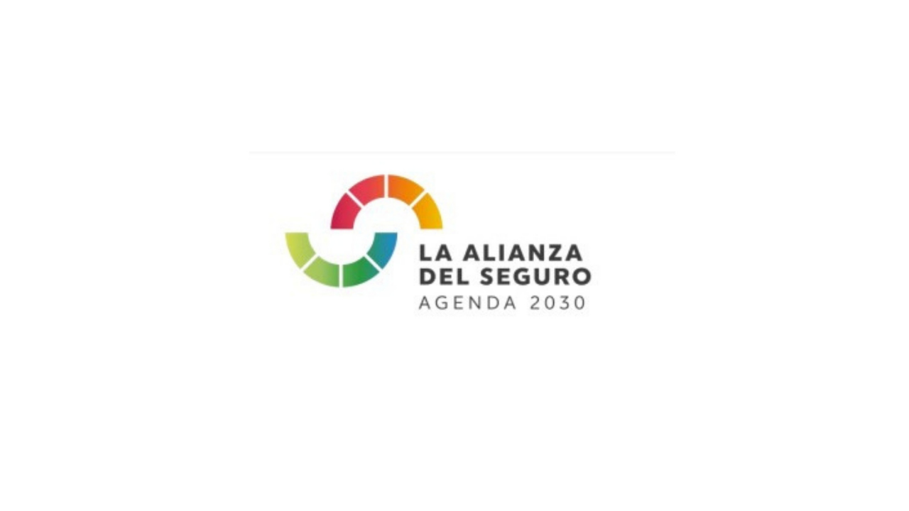 La Alianza tiene como objetivo aglutinar a todo el sector asegurador y a los actores económicos, gubernamentales, educativos y del tercer sector para definir, desarrollar...