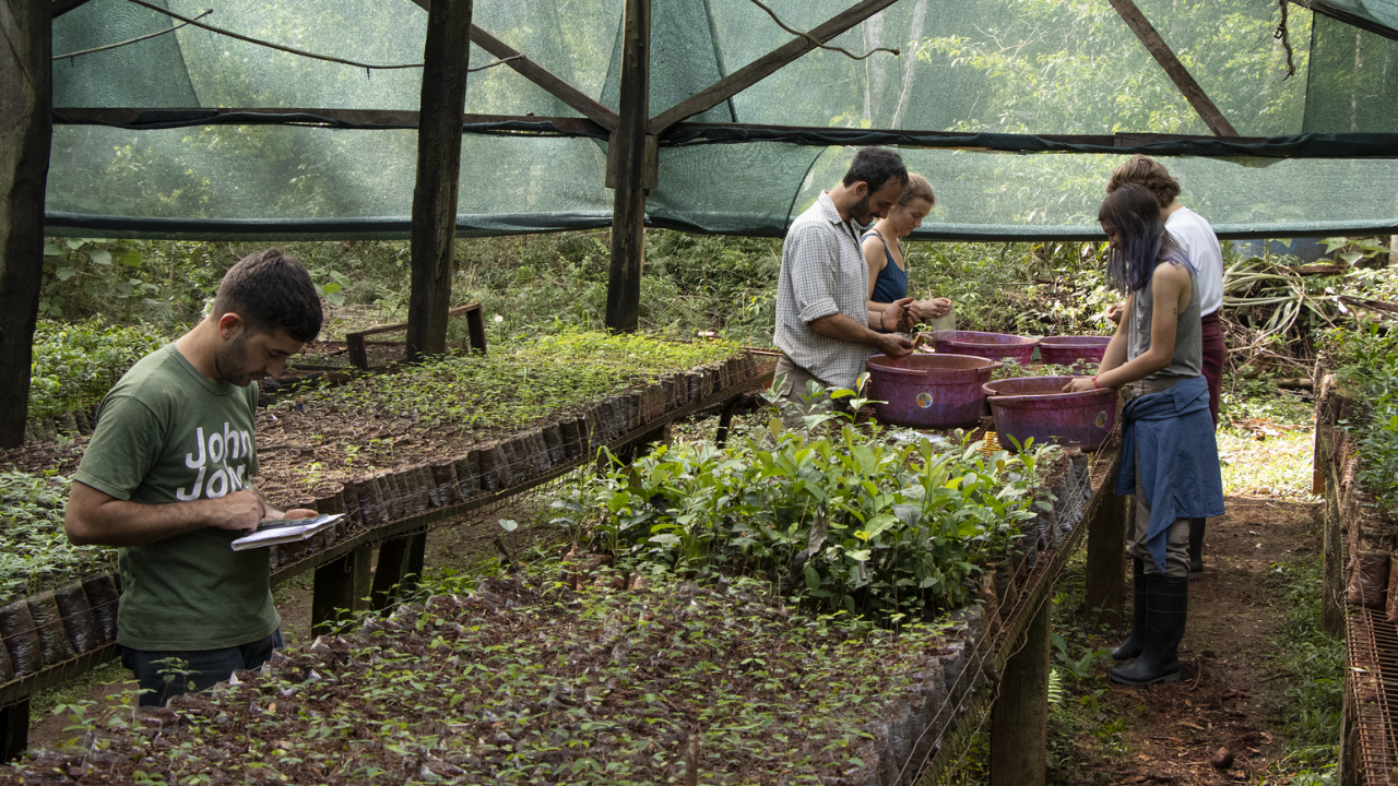 Esta alianza, enmarcada en la estrategia de sustentabilidad a nivel global de la compañía, aportará al mantenimiento de sus servicios ecosistémicos y biodiversidad...