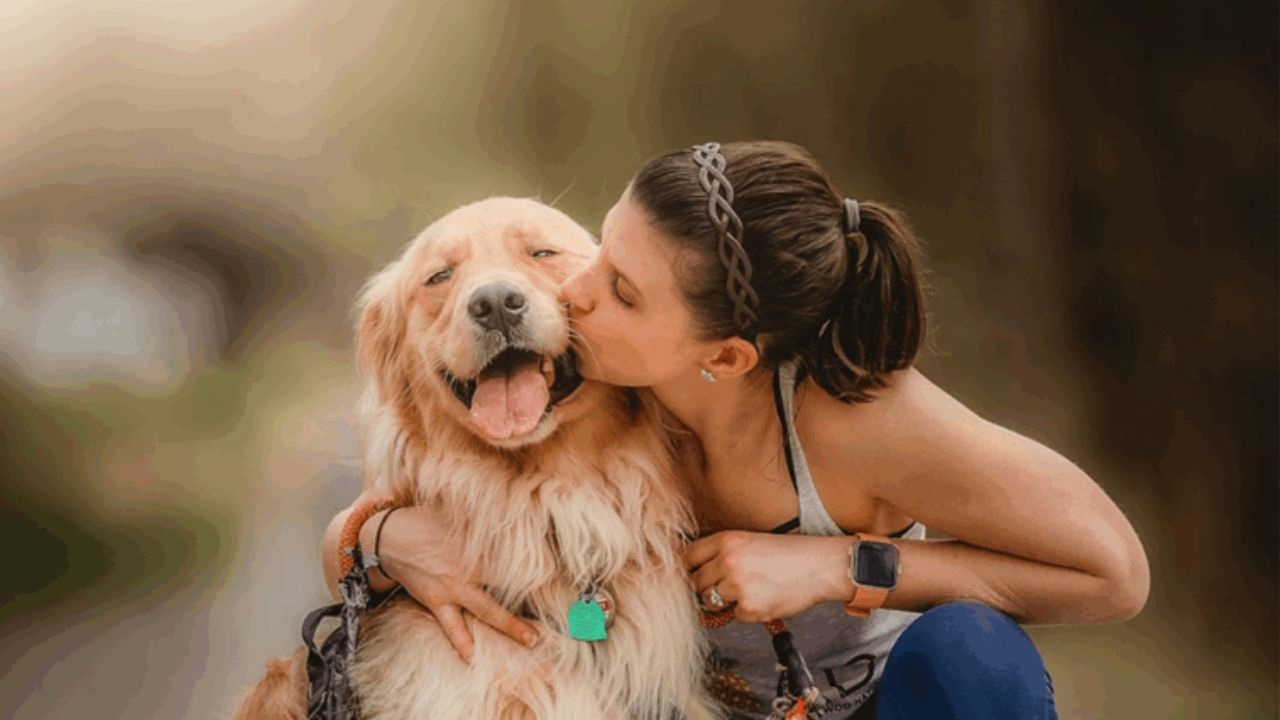 El 29 de abril es el día perfecto para recordar algo que no debería necesitar recordatorio: nuestras mascotas merecen atención, afecto y protección los 365 días del año.