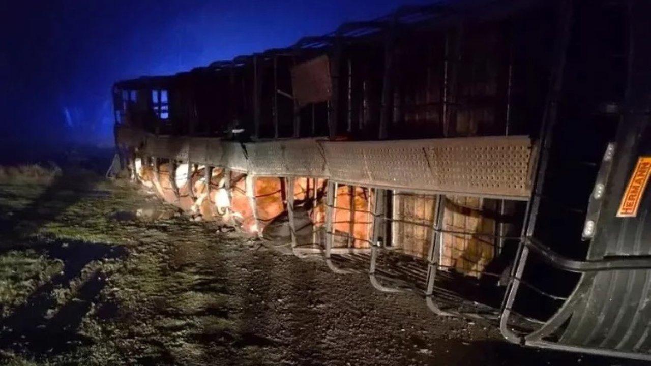 En la madrugada de ayer volcó al norte de la provincia de Santa Fe un camión jaula que transportaba vacunos, el cual partió el día anterior de la ciudad de Goya y que se dirigía hacia Deán Funes, Córdoba.