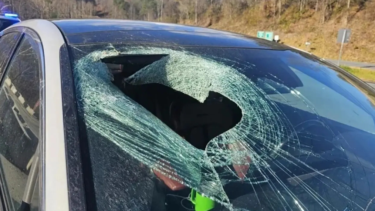 La mujer resultó ilesa pero el felino no sobrevivió al impacto, que se produjo cuando el coche circulaba a 88 km/h. La Guardia Civil investiga a un conductor por circular a 191 km/h por una carretera de Toledo.
