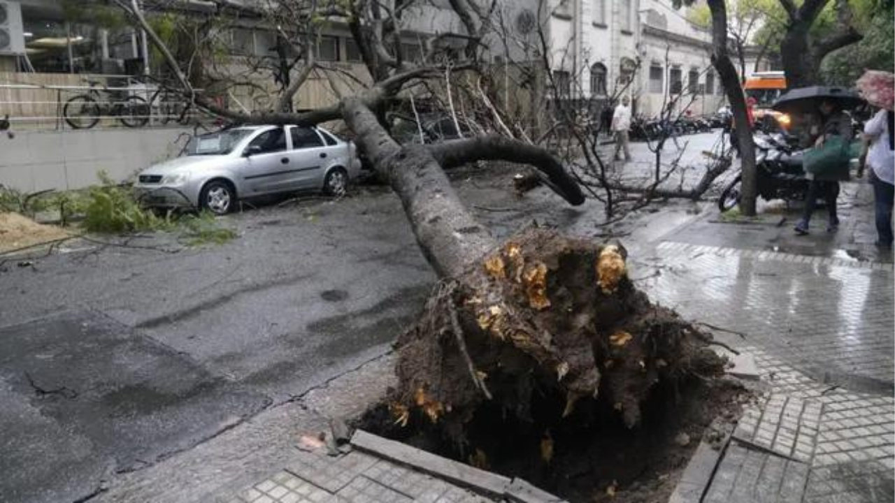 Se trata de Boston Seguros S.A. que cubría los daños por la caída de elementos en la vía pública sobre vehículos.