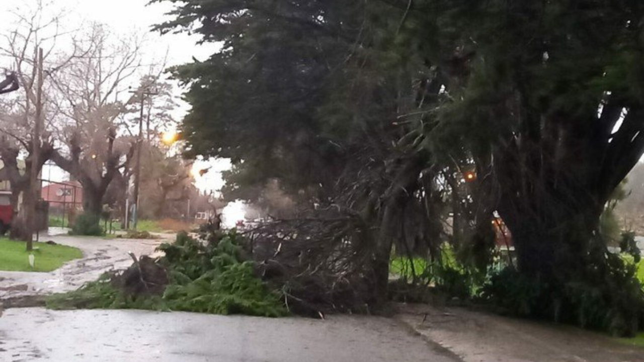 El Servicio Meteorológico Nacional mantiene la alerta amarilla por lluvias intensas y fuertes vientos con ráfagas de hasta 80 kilómetros por hora.