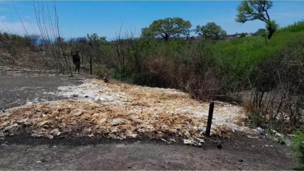 El Ministerio de Ambiente y Cambio Climático aplicó la multa máxima al dueño de una granja que depositó miles de pollos muertos en el barrio Ex Suipacha de Alto Comedero, al tiempo que lo instó a reparar el daño ambiental generado.