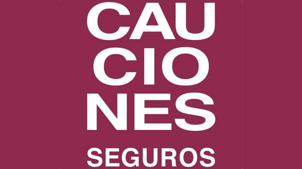 Responde a los término establecidos en el Art. 58 inciso a) de la Ley 20.091