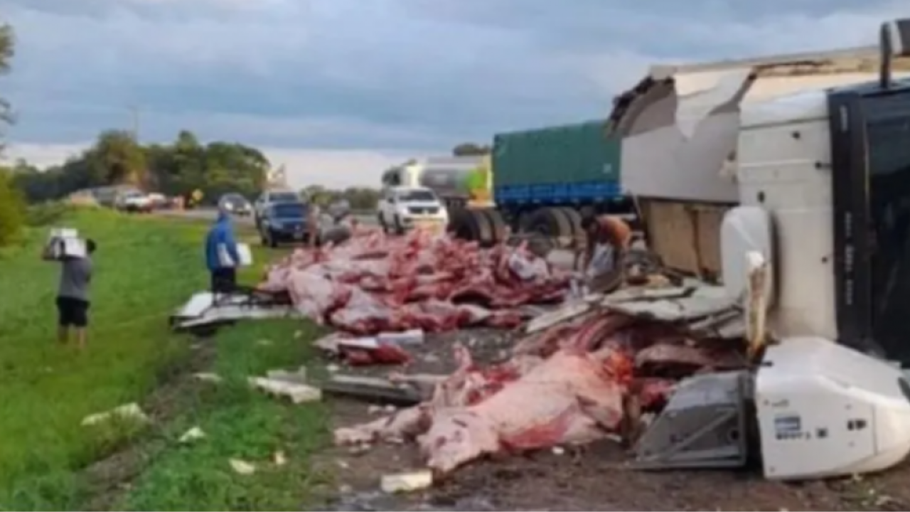 Un camión frigorífico volcó mientras transitaba por la ruta nacional 9 en Salta y lo saquearon: se robaron más de 11.000 kilos de carne. Algunos subían la mercadería a sus camionetas y autos, mientras que otros cargaban las medias res sobre su espalda y se iban a pie.