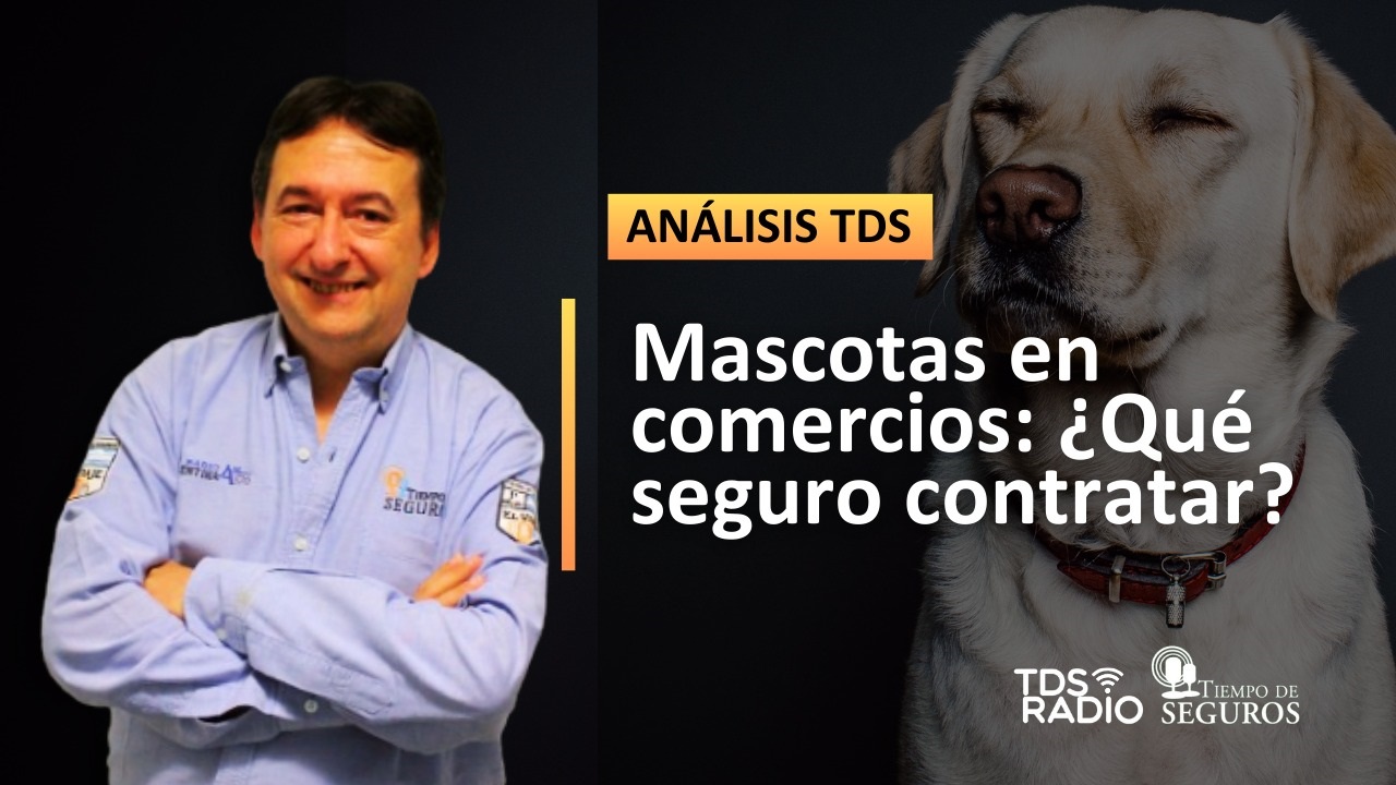 Cada vez es más frecuente la presencia de mascotas en especial perros en negocios, sumado a los comercios "Pet Friendly", aunque no siempre se los contemple en la cobertura contratada. Les contamos de una reciente sentencia.