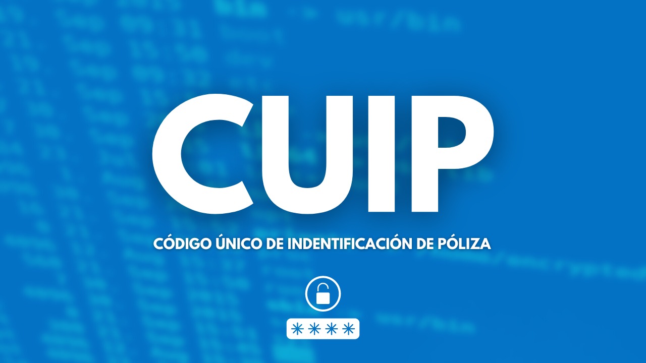 También en los Seguros Colectivos de Vida sean voluntarios o que cumplan con obligaciones legales (contratos de trabajo, seguros obligatorios exigidos por convenciones colectivas de trabajo y similares), o de Accidentes Personales, tanto en aquellos contributivos como en los que no lo son, las aseguradoras deben extender un Certificado Individual una vez al año.