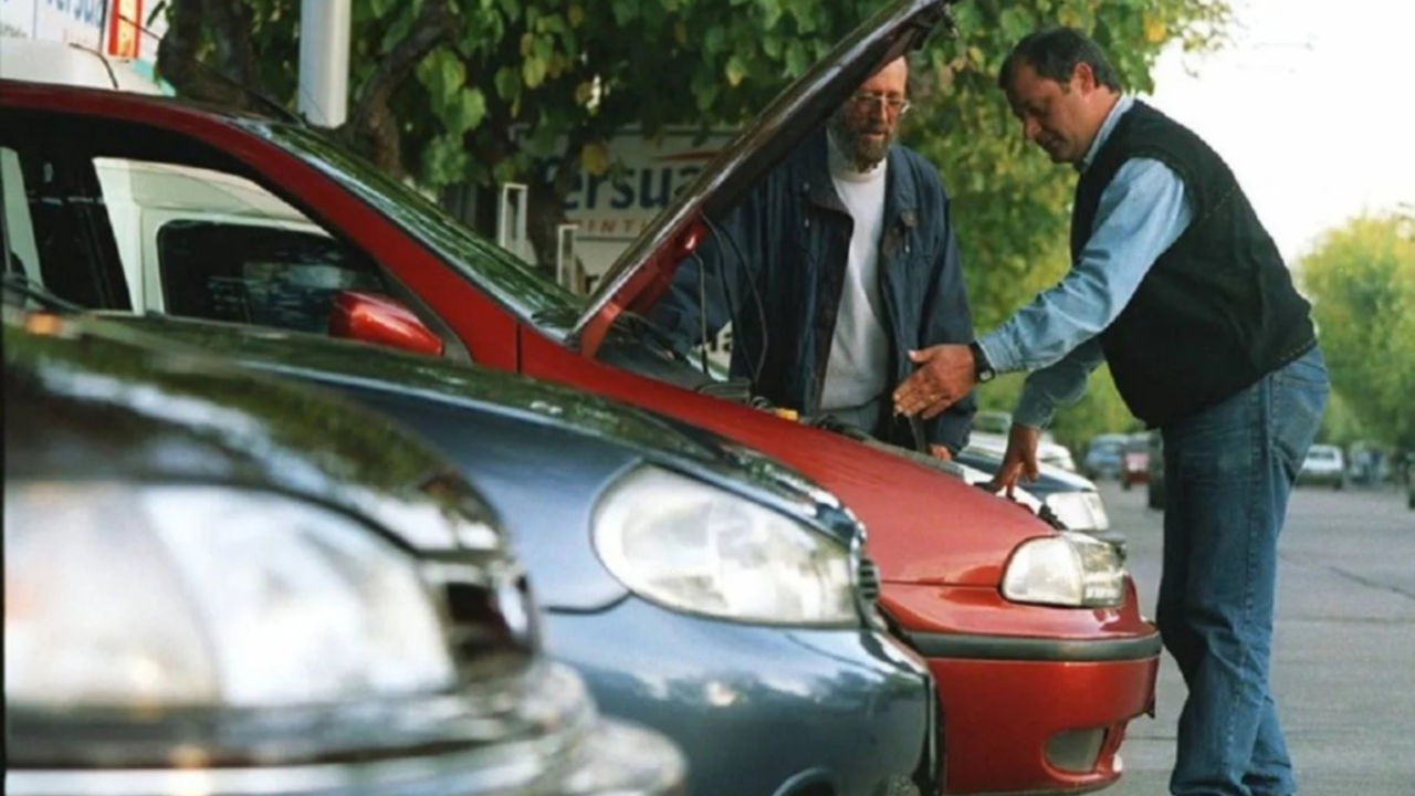 La denuncia la llevaron a cabo dos ONG´s. Señalaron que en un 80 por ciento son camionetas utilitarias, 4x4 y Pick Ups, grandes y medianas.