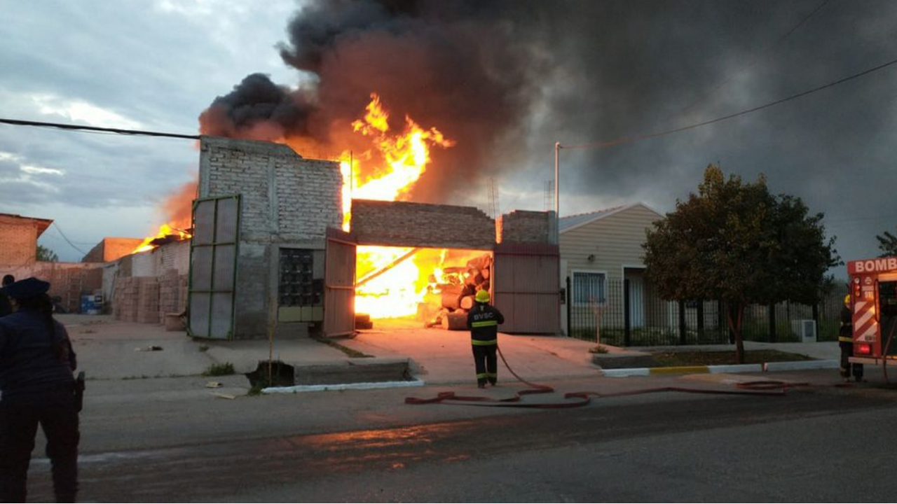 "Ninguna región está a salvo. Los incendios forestales, las inundaciones, las sequías y otros fenómenos meteorológicos extremos afectan a todos los continentes", advirtieron.