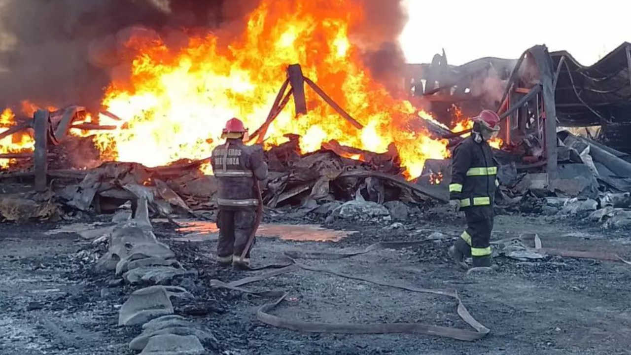 El fuego se habría originado por un cortocircuito y la explosión de una de las máquinas. Se calculan pérdidas totales en el 85% del terreno de la fábrica, lo que implicaría pérdidas millonarias en dólares.