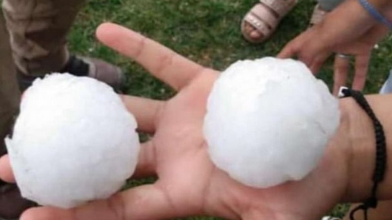 El panorama es "terrible", aseguró el intendente de Rivadavia, Miguel Ronco, tras la tormenta que se registró anoche. Dejó daños en cultivos, viviendas y autos.