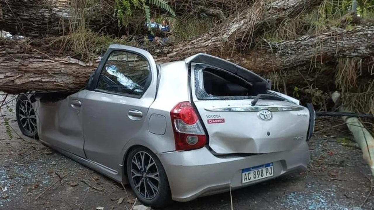 El hecho se produjo a raíz de los fuertes vientos de esta mañana en la ciudad de Mercedes; la municipalidad informó que los afectados deberán reclamarles a sus seguros porque ellos no tienen responsabilidad.