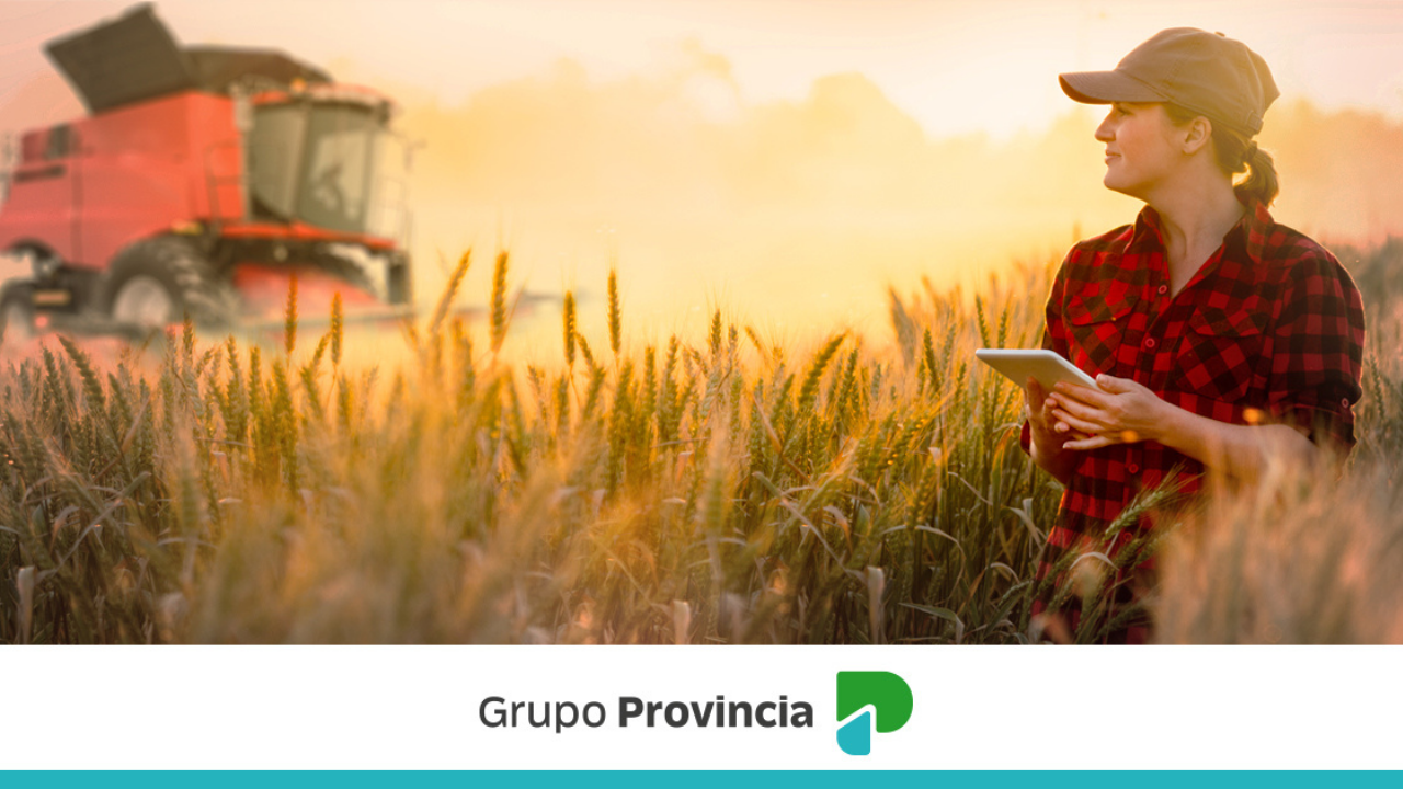 Provincia Bursátil, Provincia Leasing y Provincia Seguros brindarán diferentes tipos de servicios y productos especialmente diseñados para fomentar el desarrollo de la actividad agropecuaria...