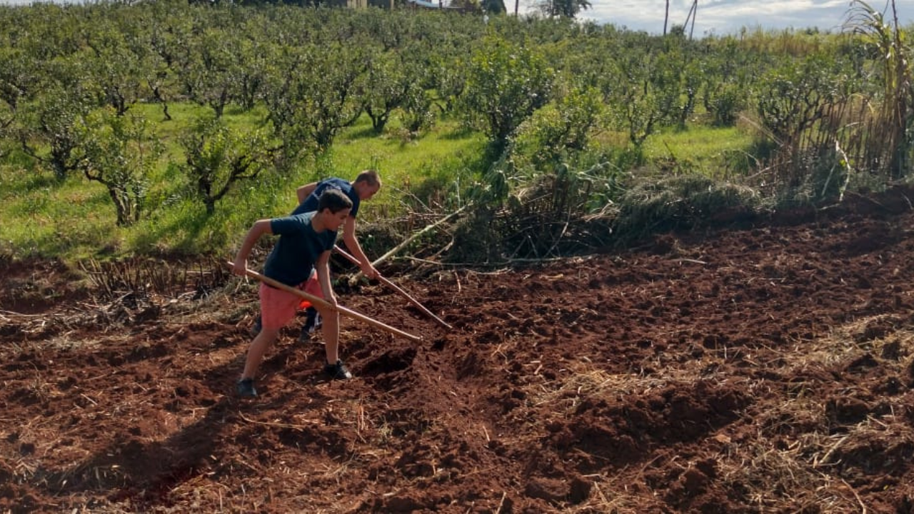 Allianz, empresa líder de seguros y servicios financieros, se sumó a la iniciativa “De la Huerta a la cocina” contribuyendo con el reacondicionamiento de huertas existentes para el cultivo de verduras y legumbres en beneficio del comedor escolar de la Escuela N°374 ubicada en San Vicente, Misiones.