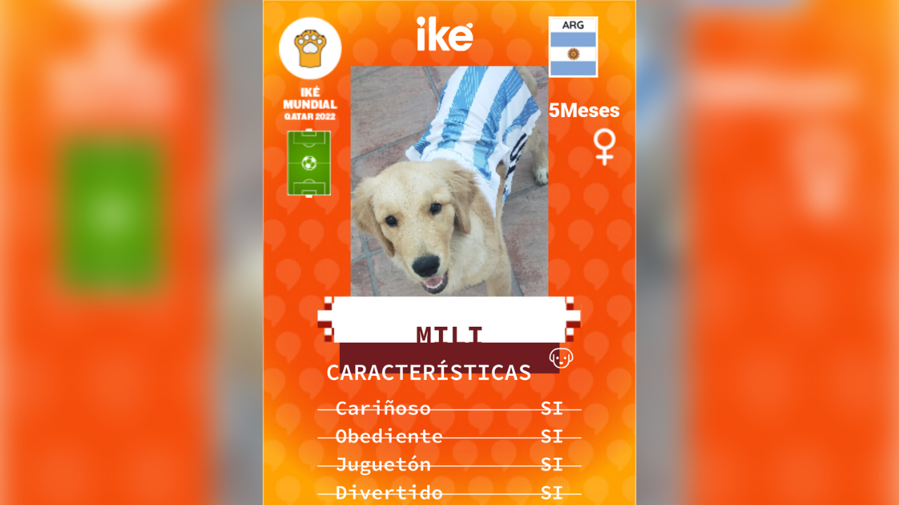 Al comienzo del Mundial, Iké lanzó su concurso de Mascotas Mundialistas, para que todos en la familia pudieran participar de esta fiesta deportiva.  Además de promociones y premios, Iké propone que todos los participantes ya se lleven las figuritas futboleras de sus mascotas,  las publiquen en redes sociales y además, las más votadas ganan importantes premios.