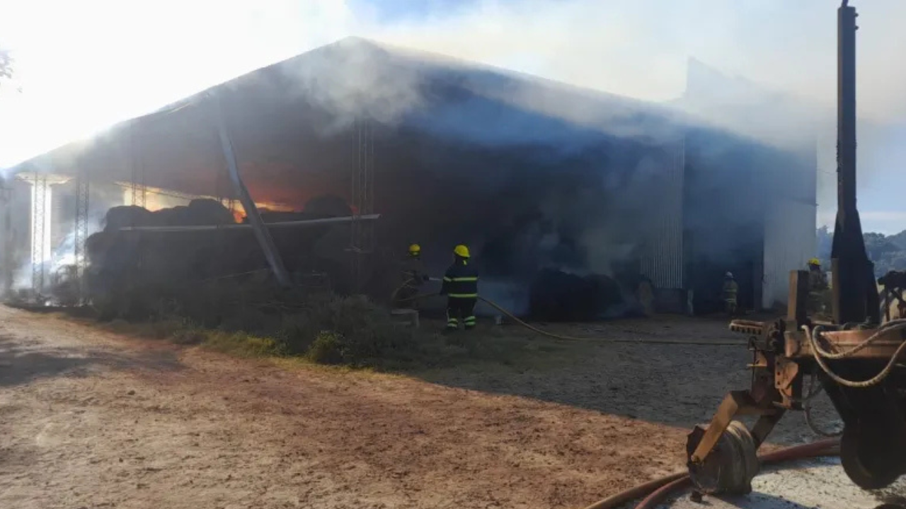 Trabajaron cinco dotaciones de bomberos para sofocarlo. Escuchá aquí el testimonio del propietario.