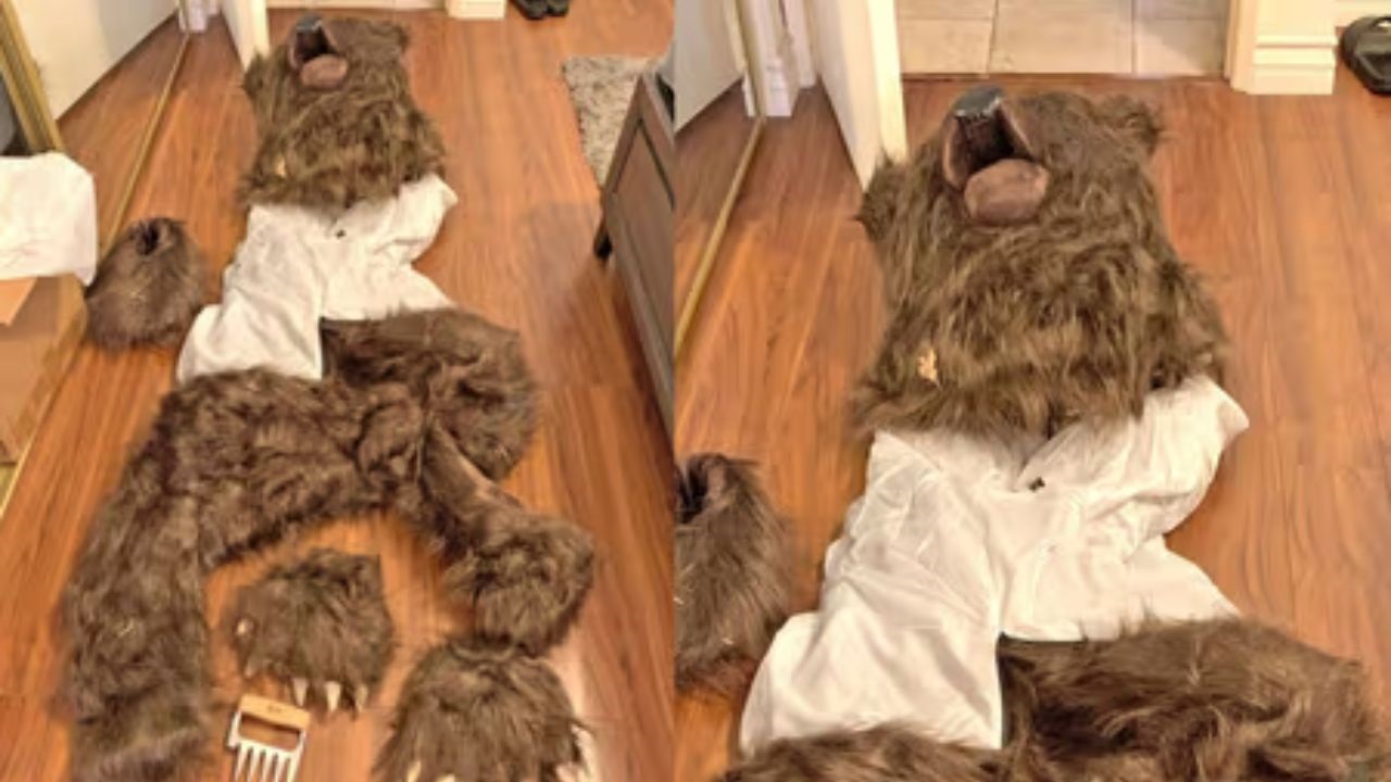 El uso de un disfraz de oso para fingir ataques a un Rolls-Royce y dos Mercedes terminó llevando a tres personas a la condena por un caso de fraude de seguros en California.