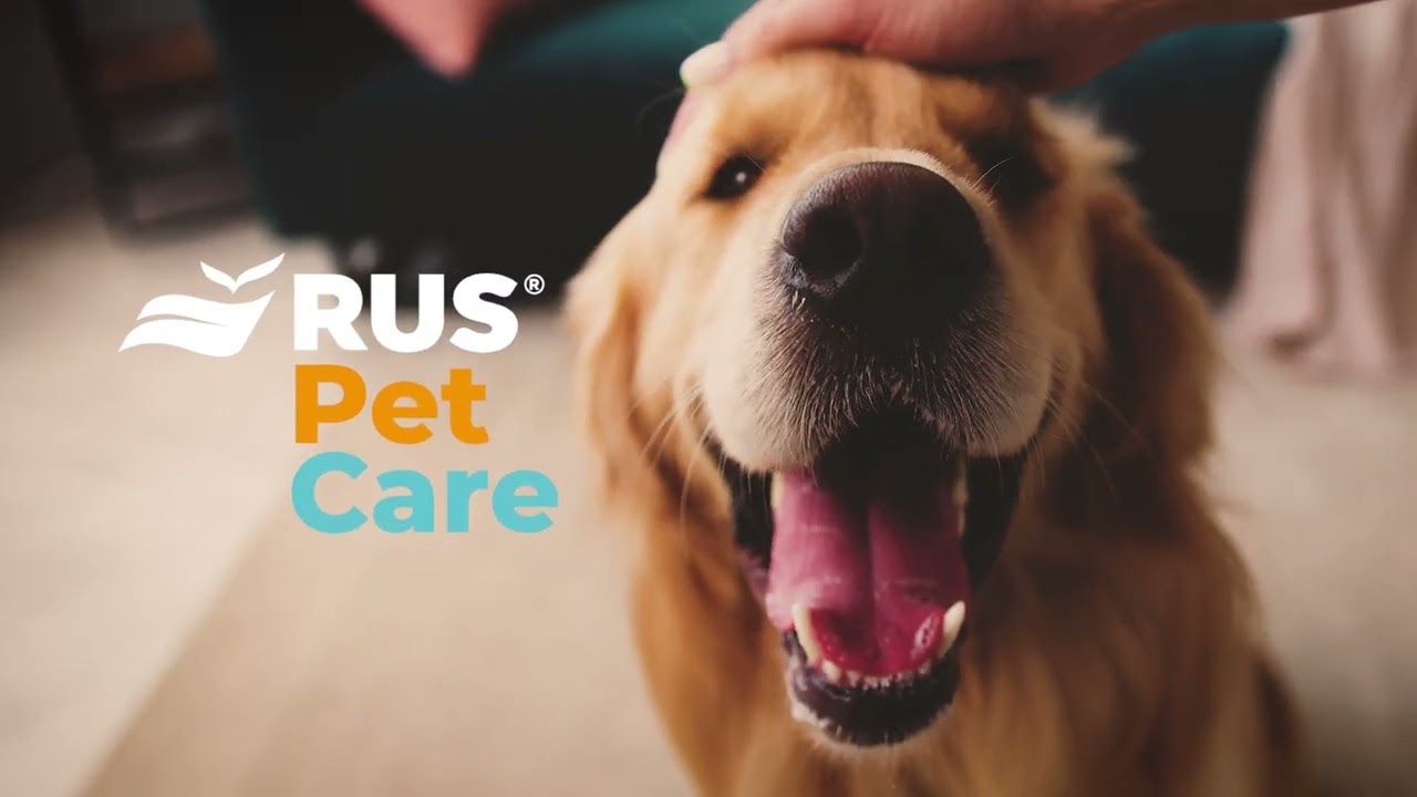 El próximo martes 12 de noviembre, a las 14 hs, la compañía lanzará oficialmente su nuevo producto RUS Pet Care, un innovador seguro de salud para perros y gatos.