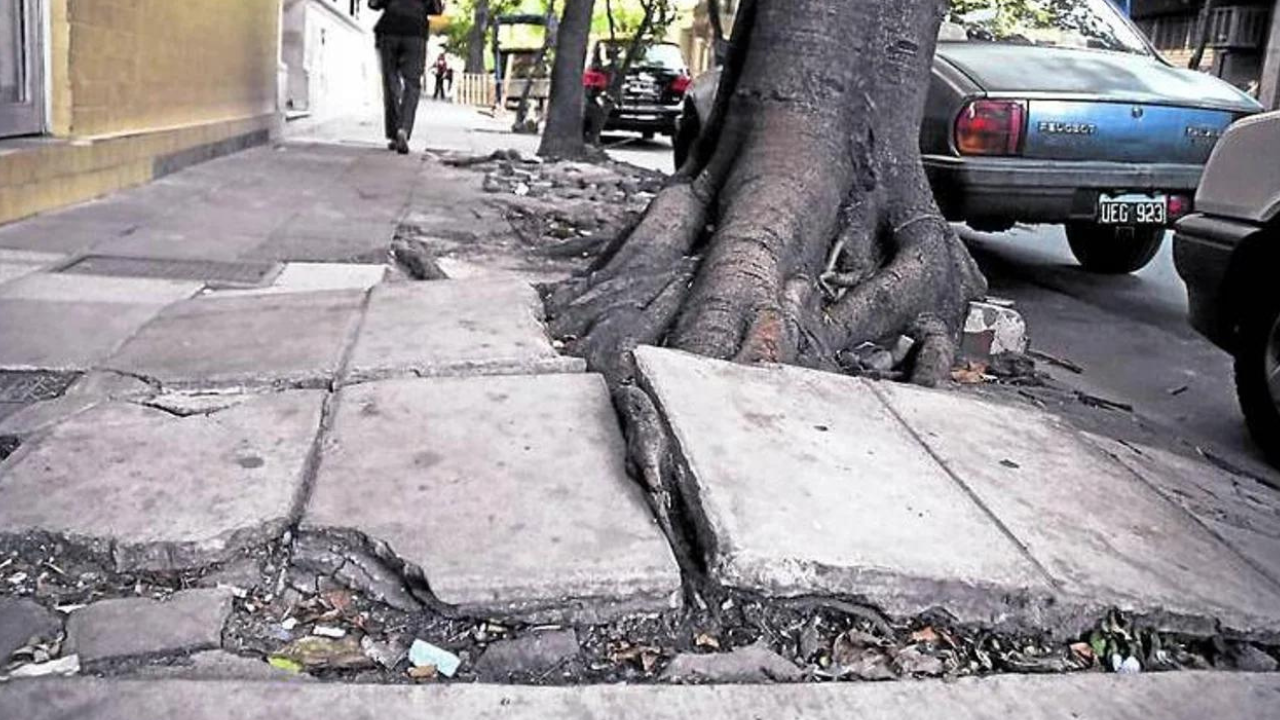 Un hombre tropezó en zona norte por una vereda en mal estado, y demandó al municipio por las lesiones que sufrió. La sentencia judicial fue contundente: $6,6 millones de resarcimiento civil.