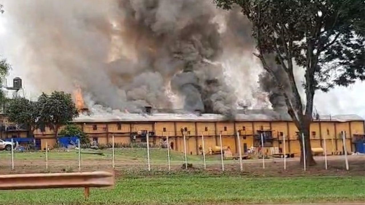 La yerbatera Holowaty, cuya planta industrial se ubica en la entrada a la localidad de Apóstoles sobre la ruta provincial 1, completó hoy la peor semana de su historia.